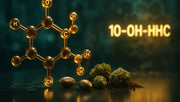 Was ist 10-OH-HHC?