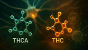 Was ist THCA?