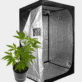 Growbox Cultibox Light Plus 60 (60 x 60 x 140)