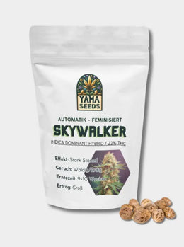 Skywalker Indica Hybrid 22% THC - Autoflowering Samen