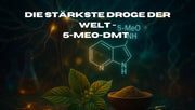 Die stärkste Droge der Welt - 5-MeO-DMT