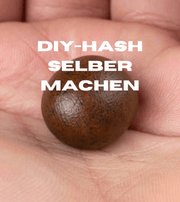 Hash selber herstellen: Eine Schritt-für-Schritt Anleitung