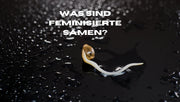 Was sind feminisierte Cannabissamen