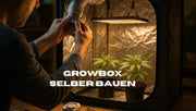 Growbox selber bauen
