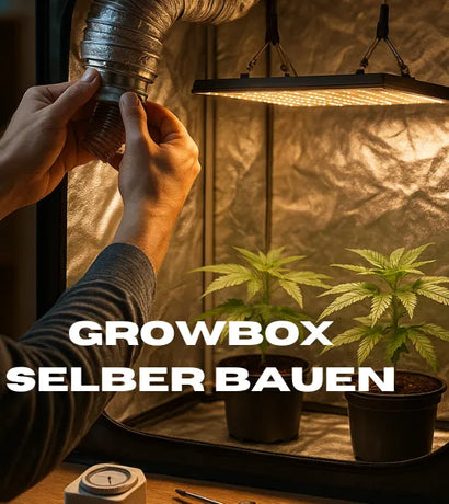 Growbox selber bauen