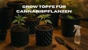 Grow Töpfe für Cannabispflanzen