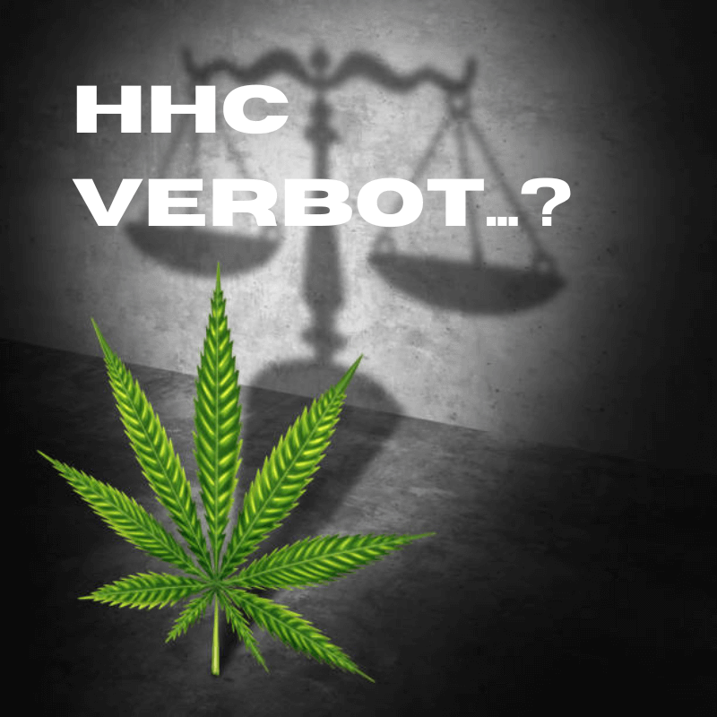 HHCVerbot in Deutschland Neue CannabisRegulierung HHCKIOSKBERLIN