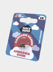 Ambrosia Kush Cannabissamen 3 Stück Holy Hemp Full Season Samen