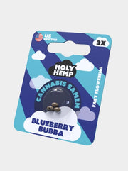Blueberry Bubba Cannabissamen 3 Stück Holy Hemp Fast Flowering Samen