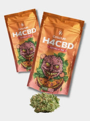 Canapuff H4CBD Georgia Pie Blüten 2 Verpackungen auf grauem Hintergrund