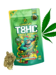T8HC Blüten Jungle Monkey 99% von Canapuff