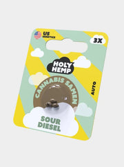 Sour Diesel Autoflower Cannabis Samen von Holy Hemp 3 Stück feminisierte Auto Seeds Verpackung