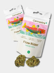 Cannastra H4CBD Flow Rider 2 Verpackungen