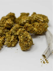 CB9 Blüten mit fertig gedrehten Joint