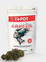 I Love Pot CBH Blüte Amnesia 33 %