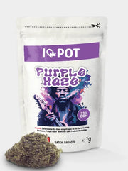 CBH Blüten – Purple Haze 33% I Love Pot