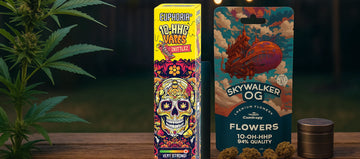 HHC Kiosk, Blüten, Vapes, Joints  & Liquids online kaufen