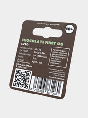 Holy Hemp Chocolate Mint OG Cannabissamen Rückseite Anbau Informationen