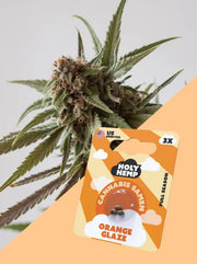 Orange Glaze Cannabisblüte und Cannabis Samen