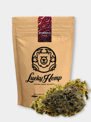 Lucky Hemp CBD Blüten Strawberry Haze | 10g Nachfüllpack
