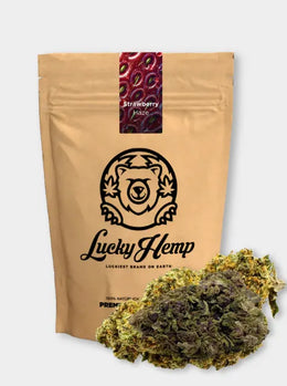 Lucky Hemp CBD Blüten Strawberry Haze | 10g Nachfüllpack