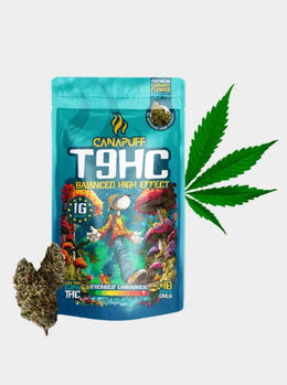 T9HC Blüten Balanced High Effect von Canapuff 1g mit dichter Cannabisblüte und freigestellter Verpackung