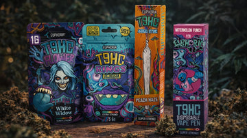 HHC Kiosk Belrin T9HC Produkte Desktop