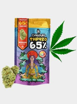 THP420 Blüten Amnesia 65 Prozent Canapuff mit Cannabis Blüte