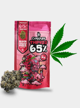 THP420 Blüten Black Cherry Fizz von Canapuff 1g mit dichter Cannabisblüte und freigestellter Verpackung