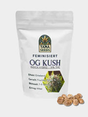 OG Kush Cannabis Samen - 19% THC, Feminisiert, von Yama Seeds