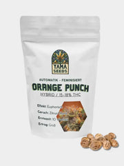 Yama Seeds Orange Punch Cannabis Samen - Autofeminisiert mit 15 - 18% THC